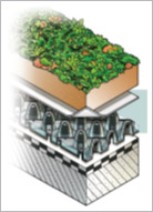 綠屋頂(薄層綠化) 綠屋頂(薄層綠化)