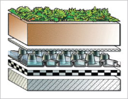 綠屋頂(薄層綠化)