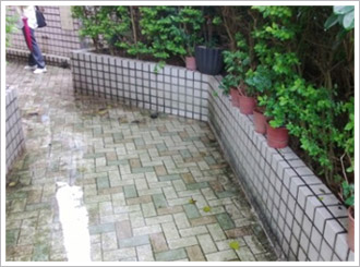 綠屋頂(薄層綠化) 建構綠屋頂
