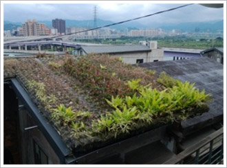 綠屋頂(薄層綠化) 建構綠屋頂