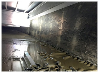 綠屋頂(薄層綠化) 建構綠屋頂